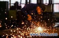 开云kaiyun体育毛鸡销售均价13.03元/公斤-开元体育官网登录入口