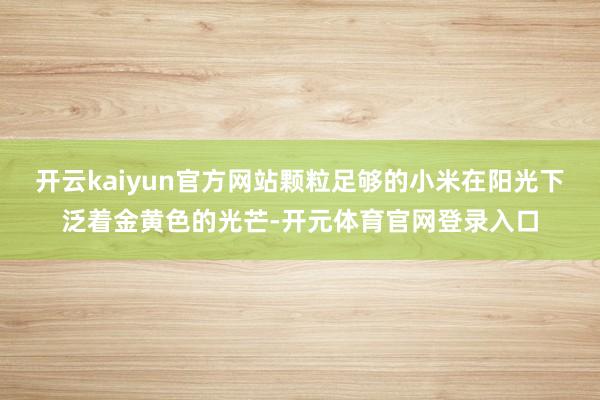 开云kaiyun官方网站颗粒足够的小米在阳光下泛着金黄色的光芒-开元体育官网登录入口