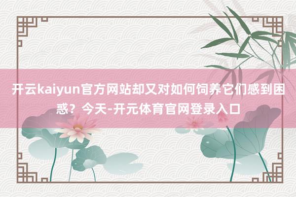 开云kaiyun官方网站却又对如何饲养它们感到困惑？今天-开元体育官网登录入口