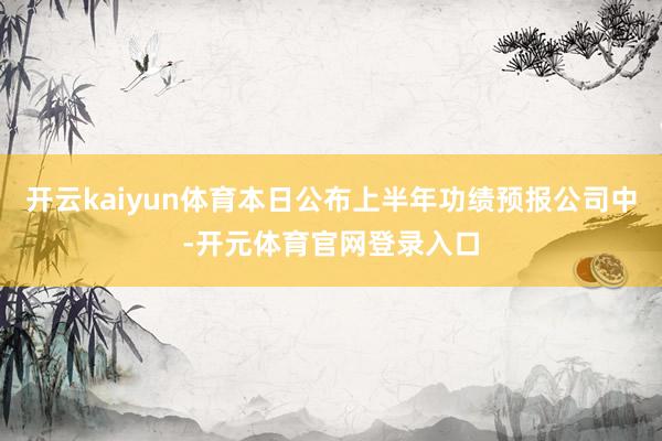 开云kaiyun体育本日公布上半年功绩预报公司中-开元体育官网登录入口