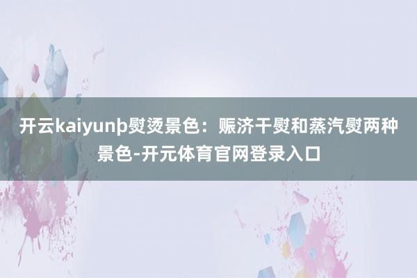 开云kaiyunþ熨烫景色：赈济干熨和蒸汽熨两种景色-开元体育官网登录入口