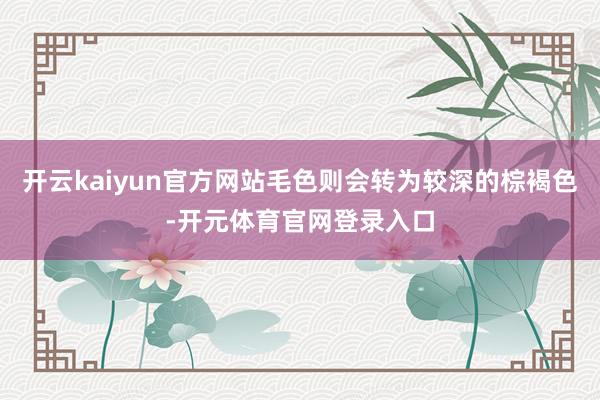 开云kaiyun官方网站毛色则会转为较深的棕褐色-开元体育官网登录入口