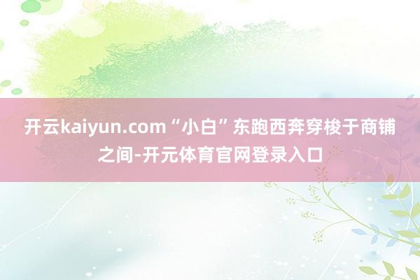 开云kaiyun.com“小白”东跑西奔穿梭于商铺之间-开元体育官网登录入口