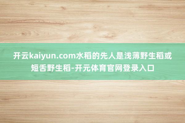 开云kaiyun.com水稻的先人是浅薄野生稻或短舌野生稻-开元体育官网登录入口