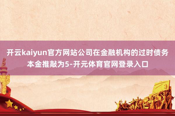 开云kaiyun官方网站公司在金融机构的过时债务本金推敲为5-开元体育官网登录入口