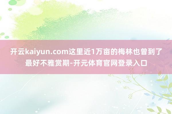 开云kaiyun.com这里近1万亩的梅林也曾到了最好不雅赏期-开元体育官网登录入口