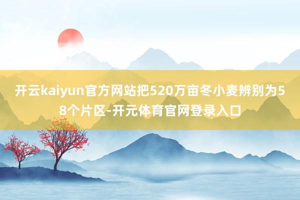 开云kaiyun官方网站把520万亩冬小麦辨别为58个片区-开元体育官网登录入口