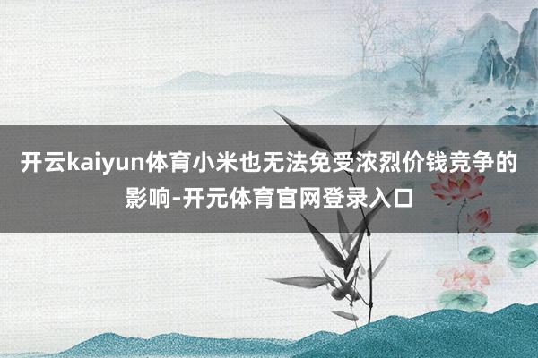 开云kaiyun体育小米也无法免受浓烈价钱竞争的影响-开元体育官网登录入口